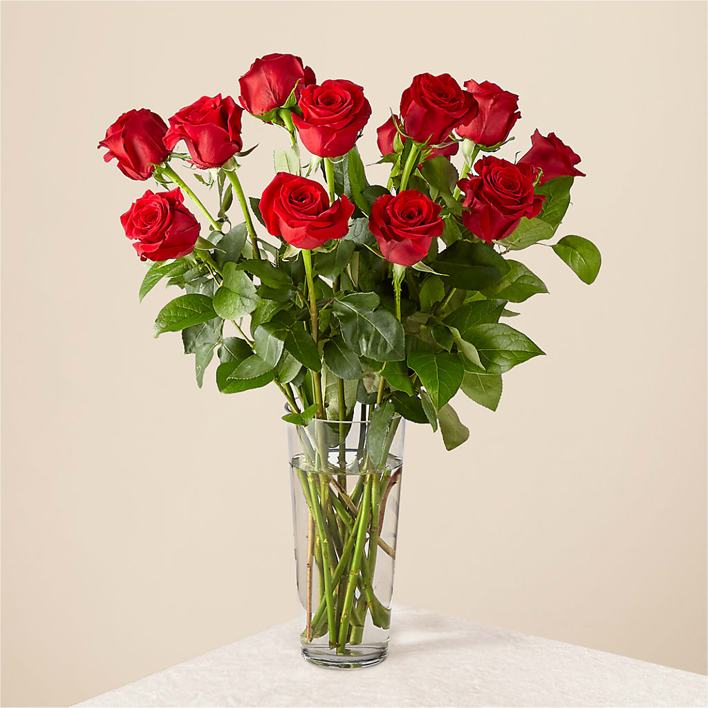 Long Stem Red Rose Bouquet – Gladrich Florist Shoppe, Punta Gorda FL