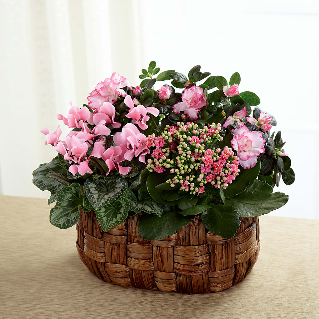 Pink Assortment – Gladrich Florist Shoppe, Punta Gorda FL