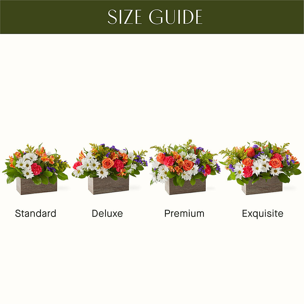 Oopsie Daisy Box Bouquet – Gladrich Florist Shoppe, Punta Gorda FL