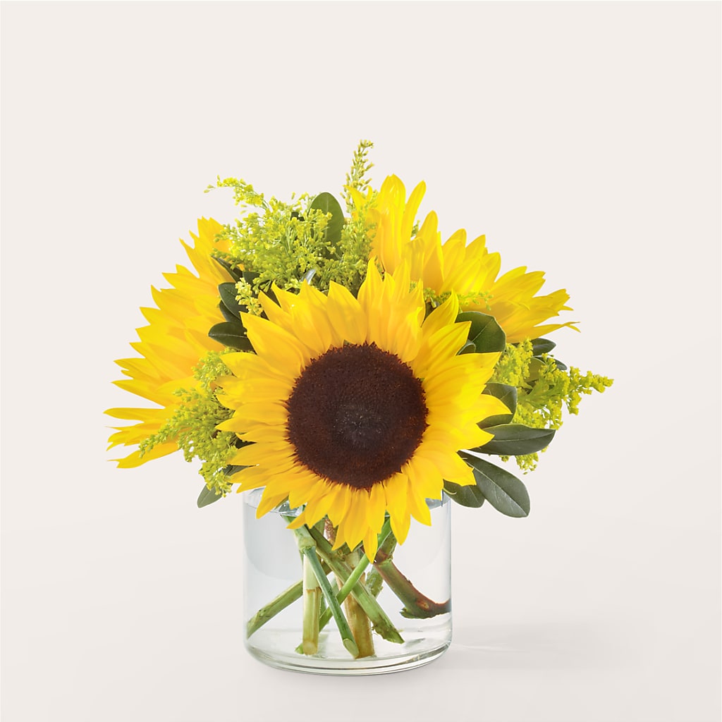 Beaming Sunflower Bouquet – Gladrich Florist Shoppe, Punta Gorda FL