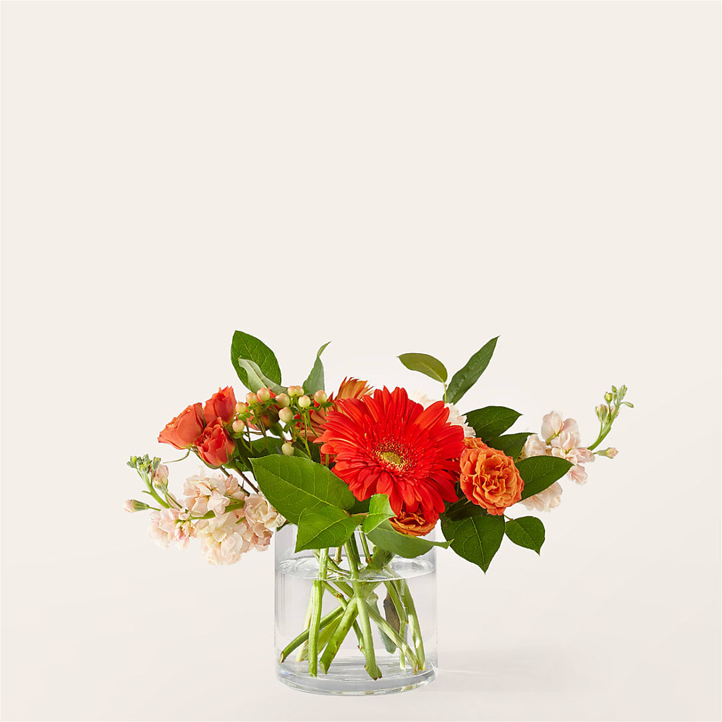 Paloma Please Bouquet – Gladrich Florist Shoppe, Punta Gorda FL