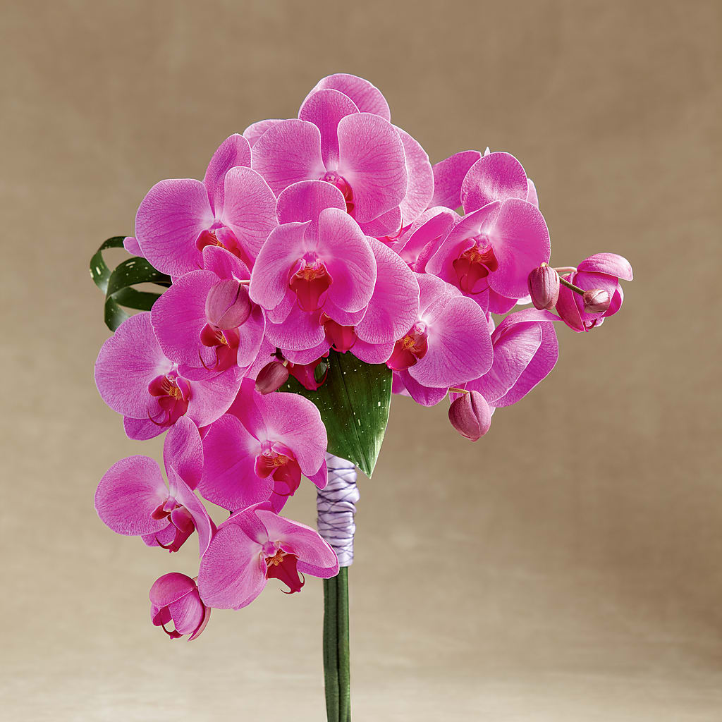 Glorious Bouquet – Gladrich Florist Shoppe, Punta Gorda FL