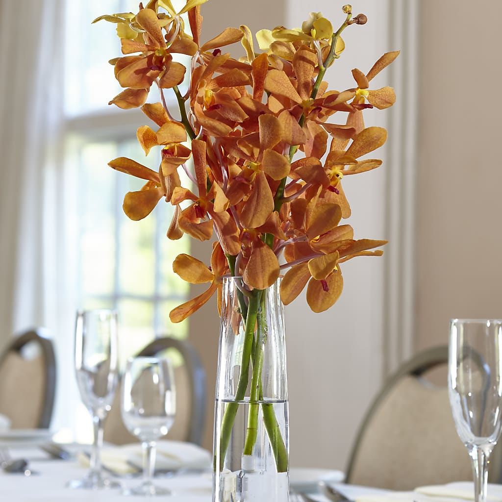 Orange Mokara Bud Vase – Gladrich Florist Shoppe, Punta Gorda FL