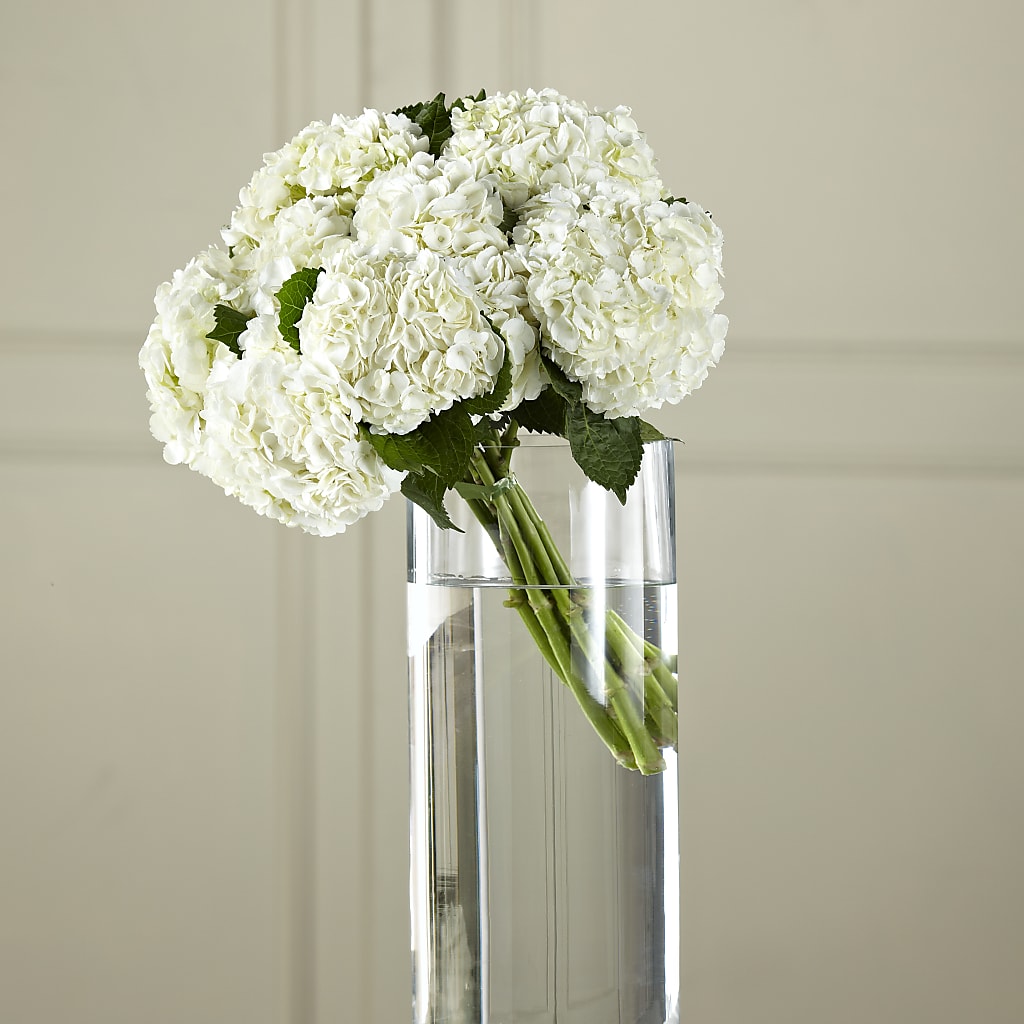 White Hydrangea Hand-Tied Bouquet – Gladrich Florist Shoppe, Punta Gorda FL