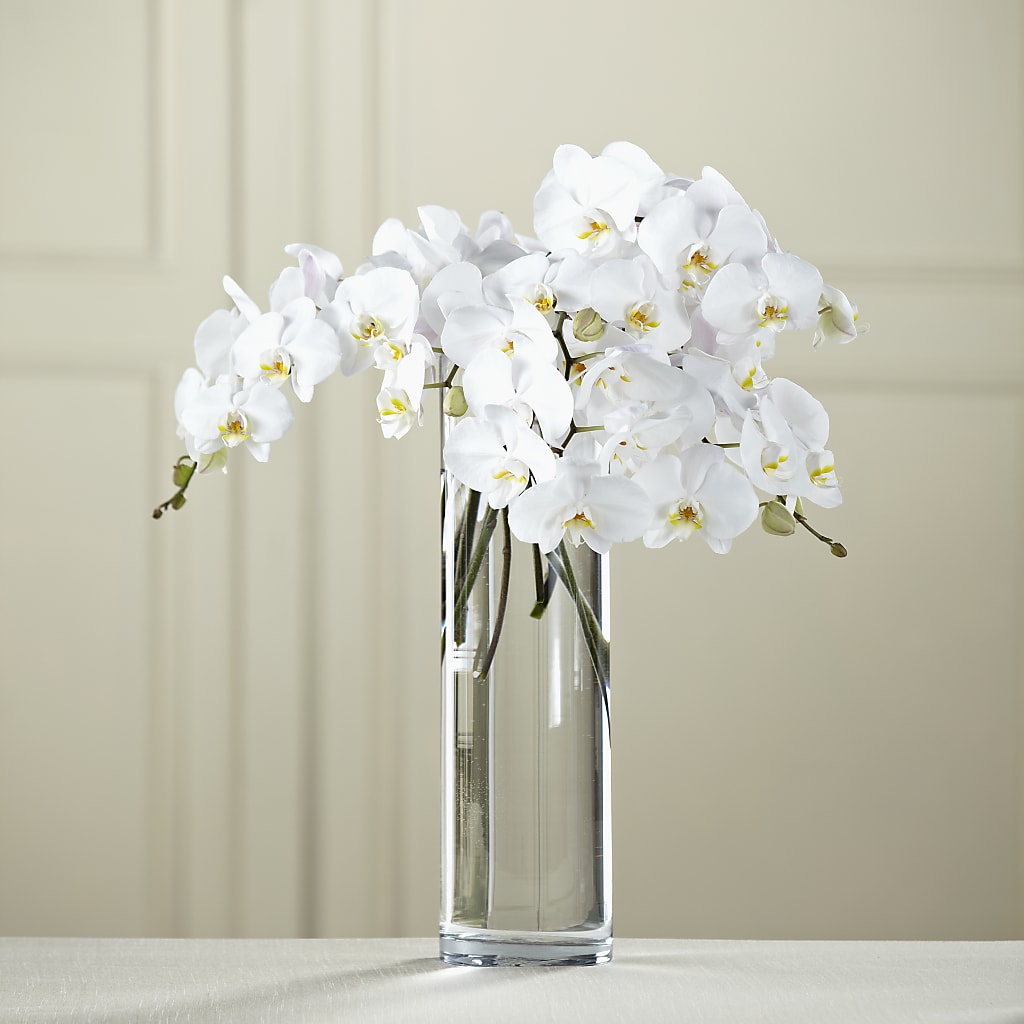 White Phalaenopsis Bouquet – Gladrich Florist Shoppe, Punta Gorda FL