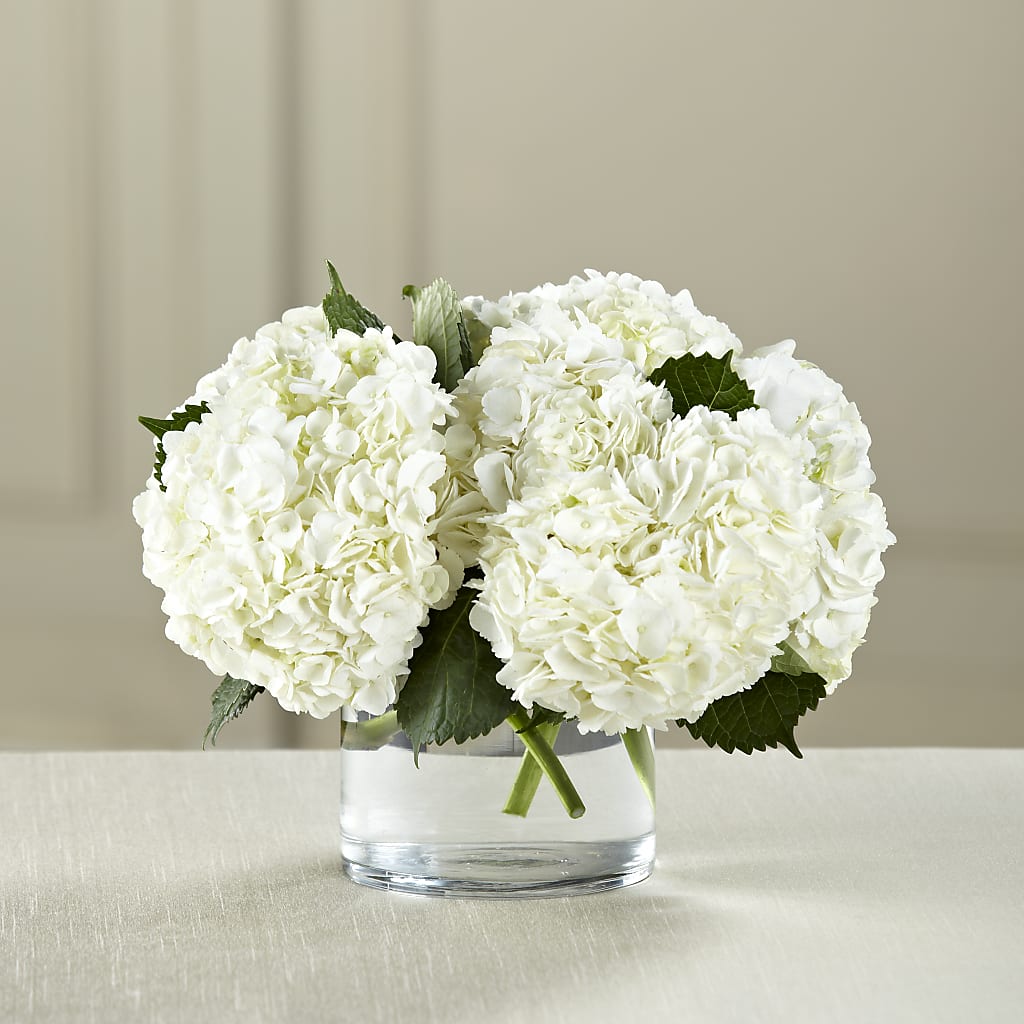 White Hydrangea Bouquet – Gladrich Florist Shoppe, Punta Gorda FL