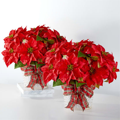 Happiest Holidays Poinsettia Bundle –  Gladrich Florist Shoppe, Punta Gorda FL