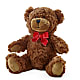 Adorable Plush Bear –  Gladrich Florist Shoppe, Punta Gorda FL