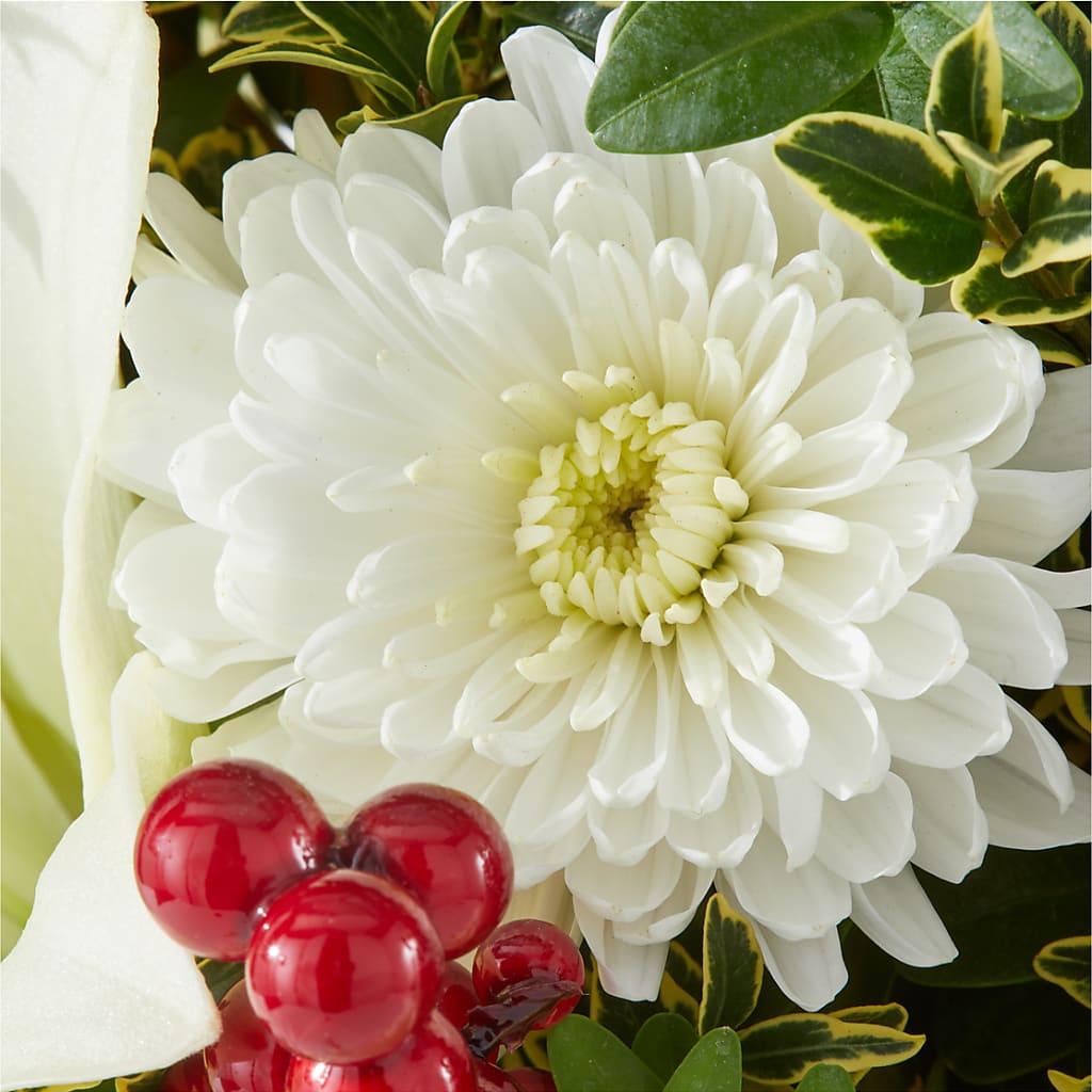 Festive Moments Tree –  Gladrich Florist Shoppe, Punta Gorda FL