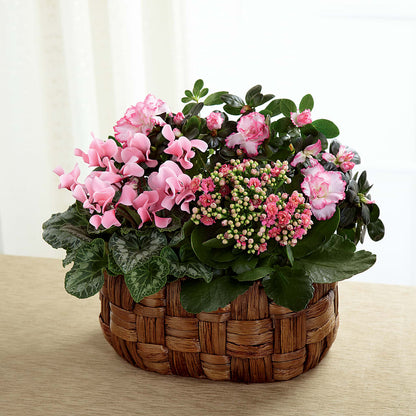 Pink Assortment –  Gladrich Florist Shoppe, Punta Gorda FL