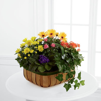 Gentle Blossoms Basket –  Gladrich Florist Shoppe, Punta Gorda FL