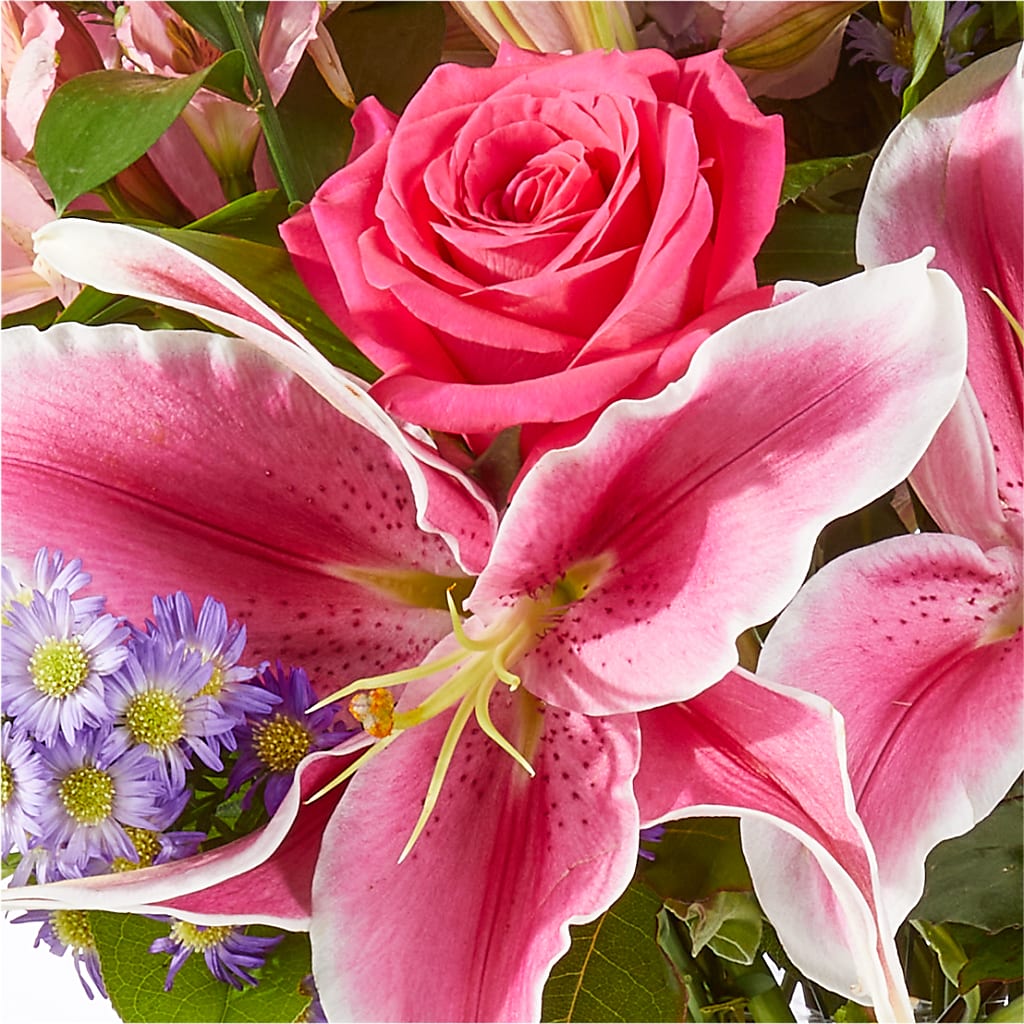 Written in the Stars Bouquet –  Gladrich Florist Shoppe, Punta Gorda FL