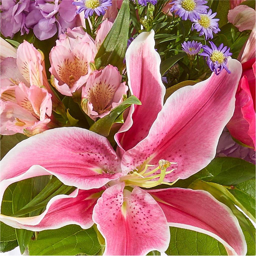 Written in the Stars Bouquet –  Gladrich Florist Shoppe, Punta Gorda FL