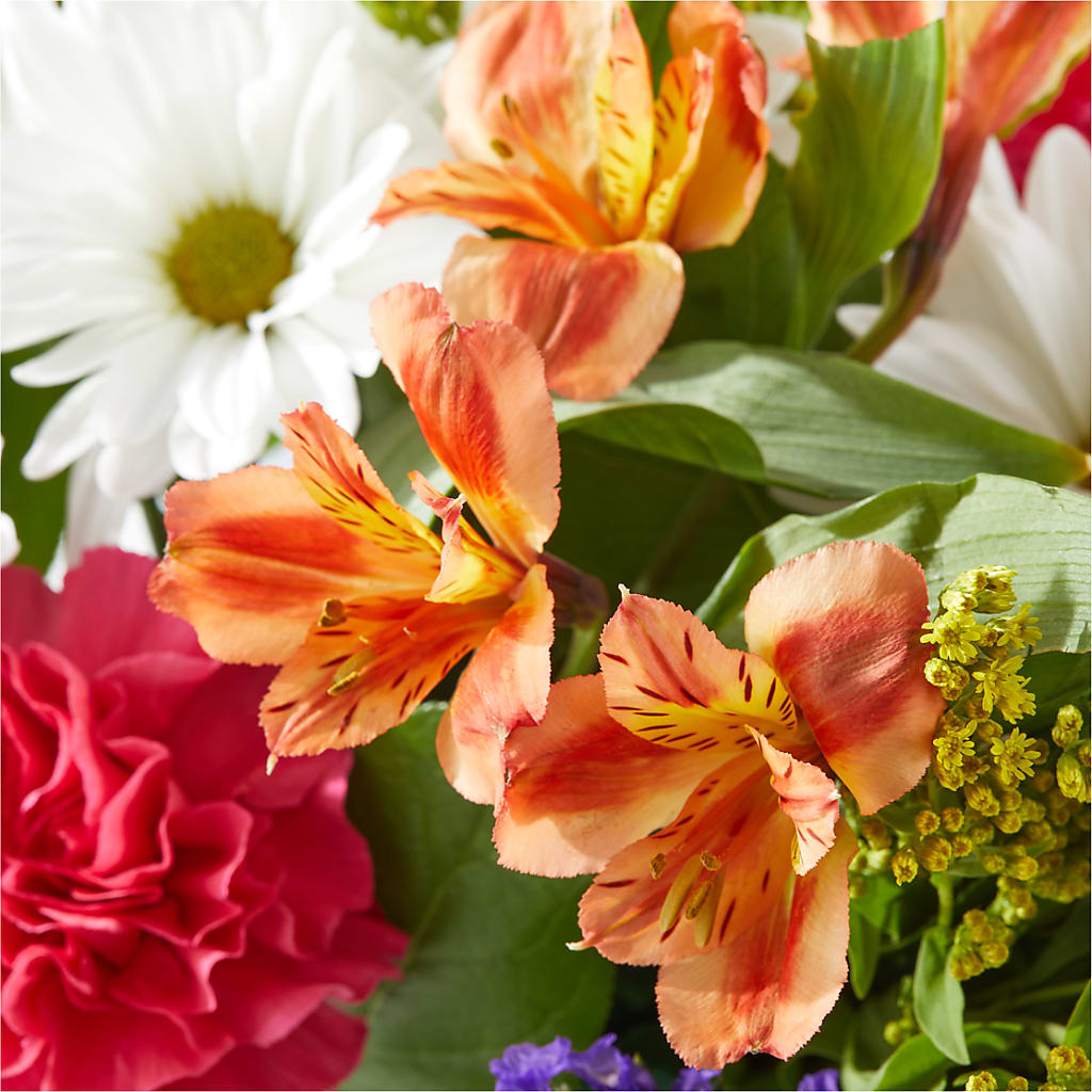 Oopsie Daisy Box Bouquet –  Gladrich Florist Shoppe, Punta Gorda FL