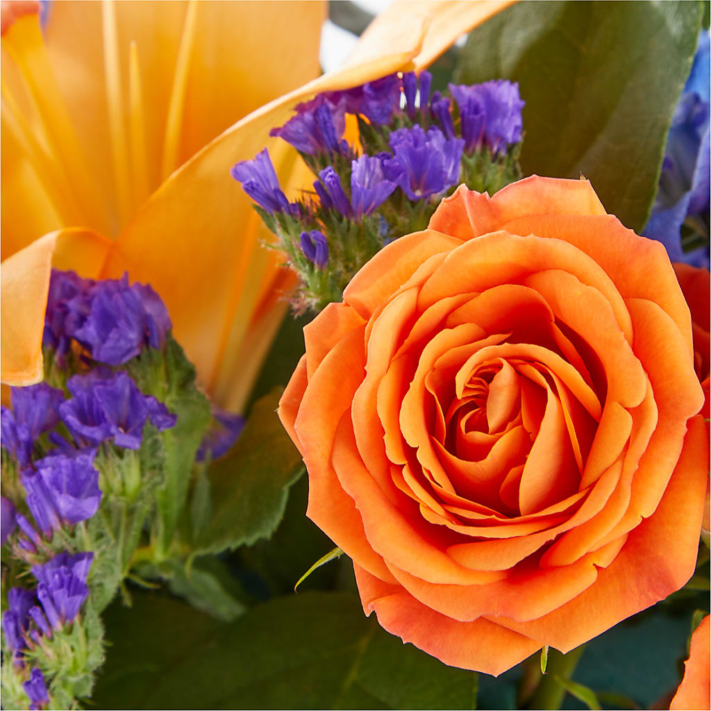 Radiant Citrus Box Bouquet –  Gladrich Florist Shoppe, Punta Gorda FL