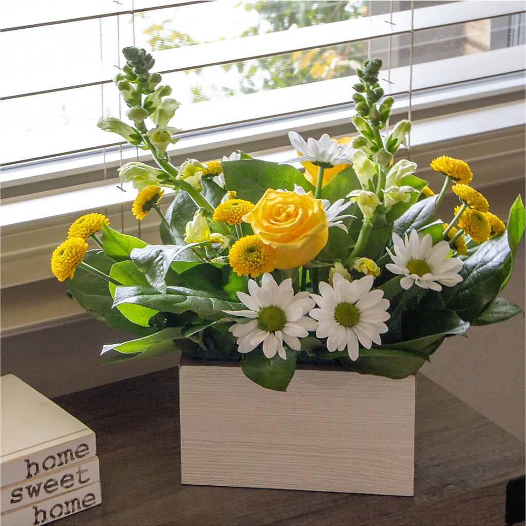Sun Salutation Box Bouquet –  Gladrich Florist Shoppe, Punta Gorda FL