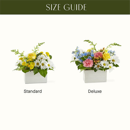 Sun Salutation Box Bouquet –  Gladrich Florist Shoppe, Punta Gorda FL