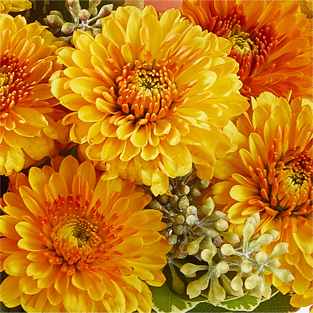 Peachy Pumpkin –  Gladrich Florist Shoppe, Punta Gorda FL
