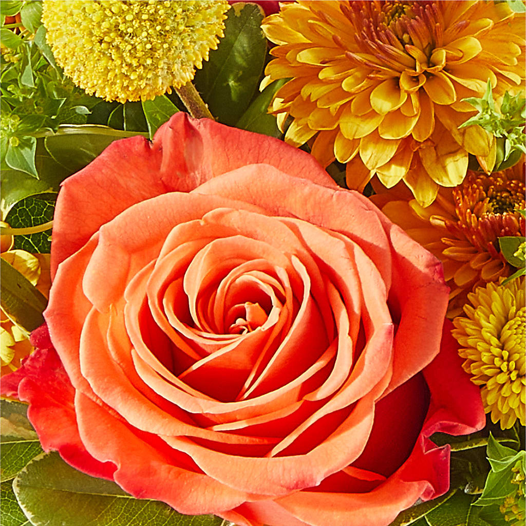 Gourdgeous Pumpkin –  Gladrich Florist Shoppe, Punta Gorda FL