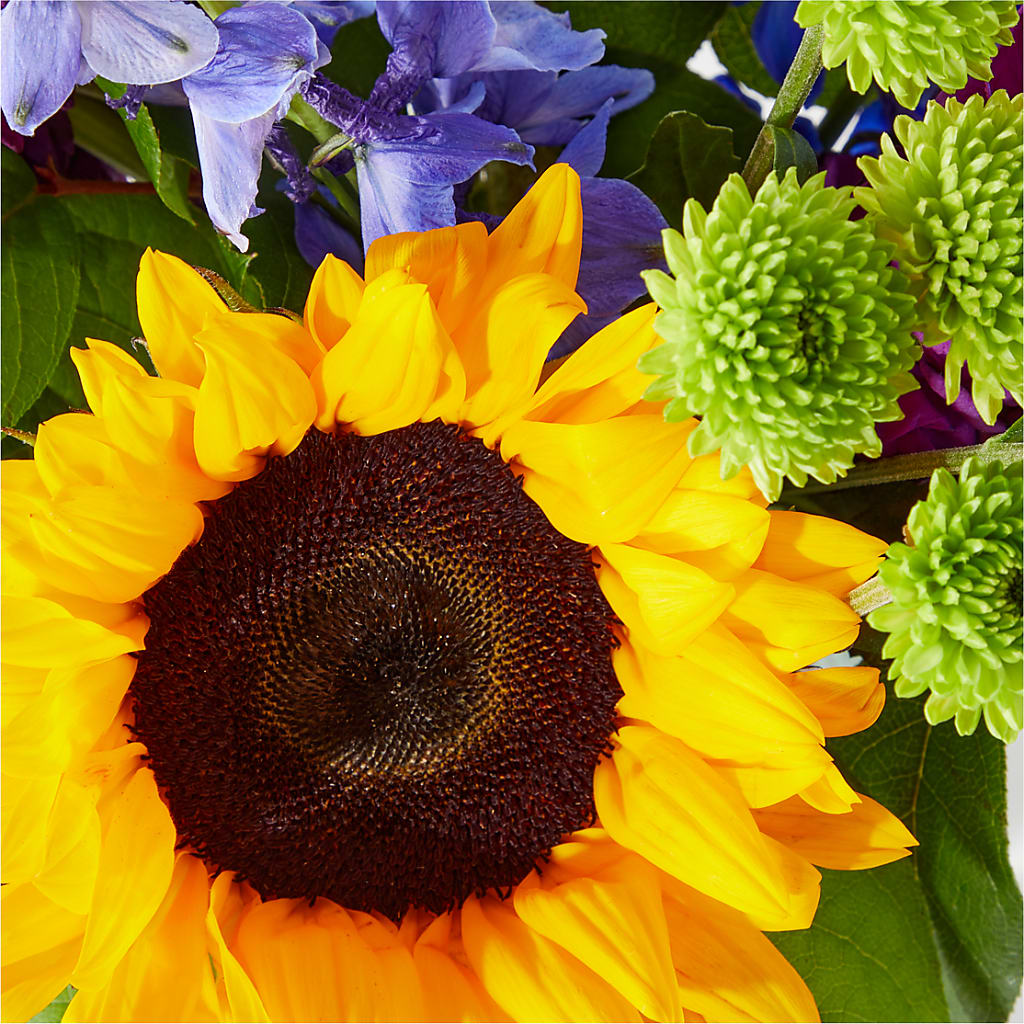 Catching Rays Bouquet –  Gladrich Florist Shoppe, Punta Gorda FL