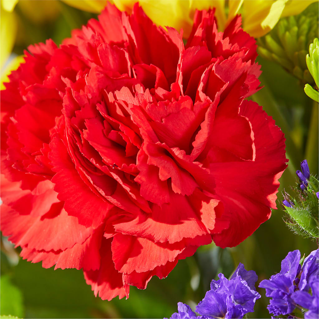 Brighter Days Bouquet –  Gladrich Florist Shoppe, Punta Gorda FL