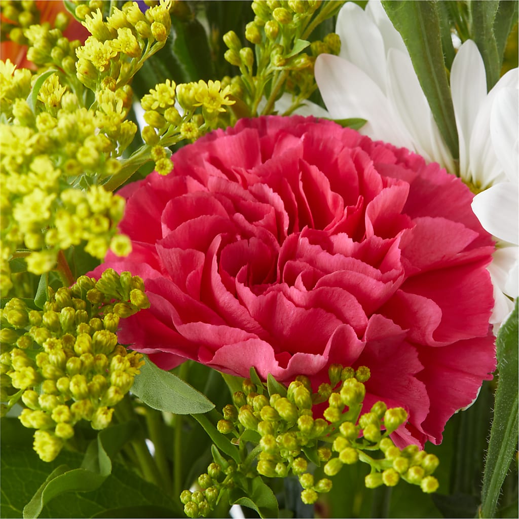 Oopsie Daisy Bouquet –  Gladrich Florist Shoppe, Punta Gorda FL