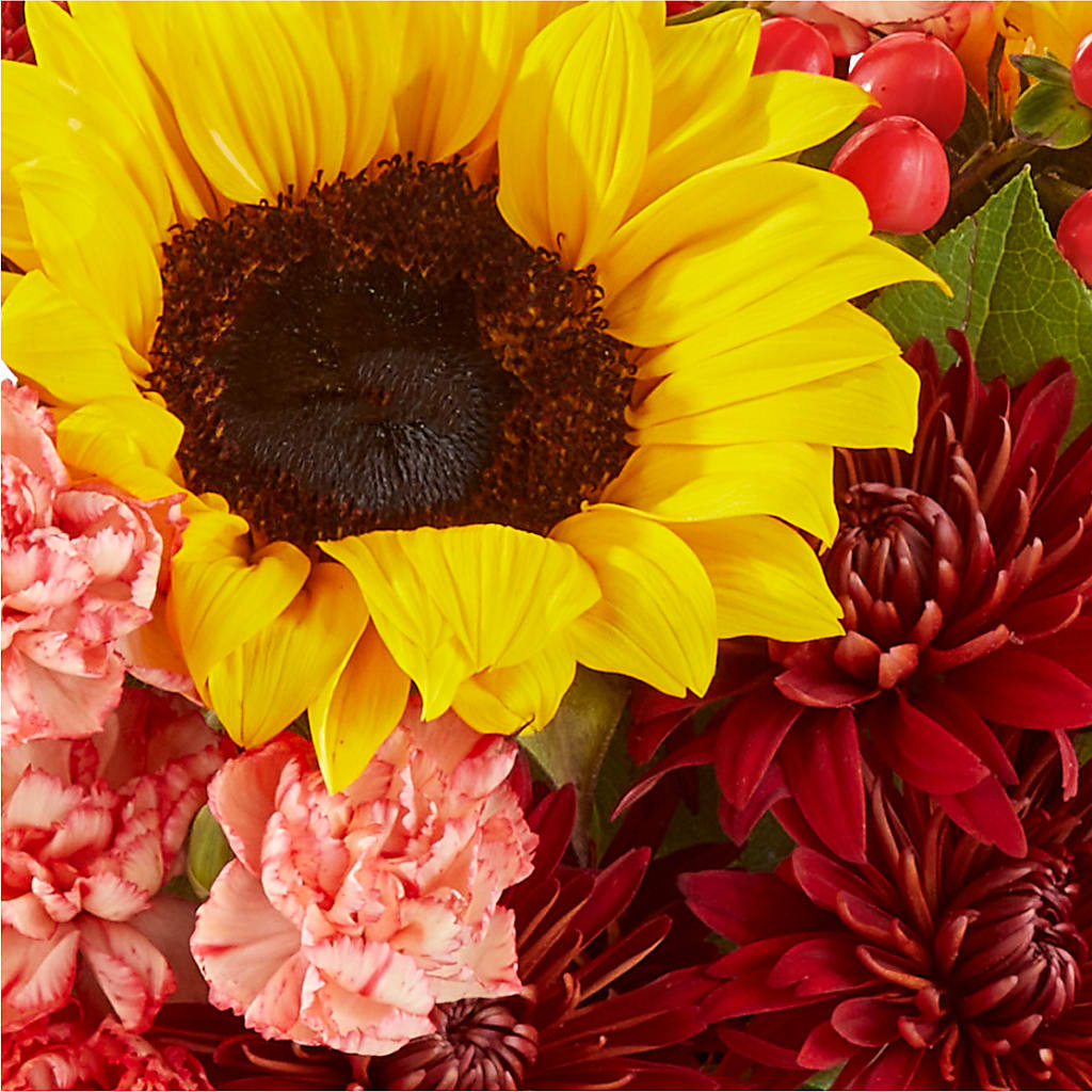 Fresh Cider Bouquet –  Gladrich Florist Shoppe, Punta Gorda FL