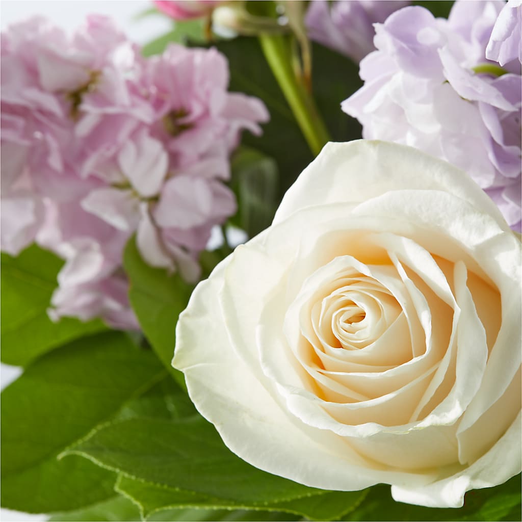 Springtime Spritz Bouquet –  Gladrich Florist Shoppe, Punta Gorda FL