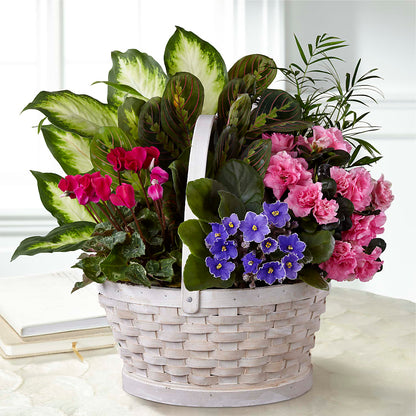 Peaceful Garden Planter –  Gladrich Florist Shoppe, Punta Gorda FL