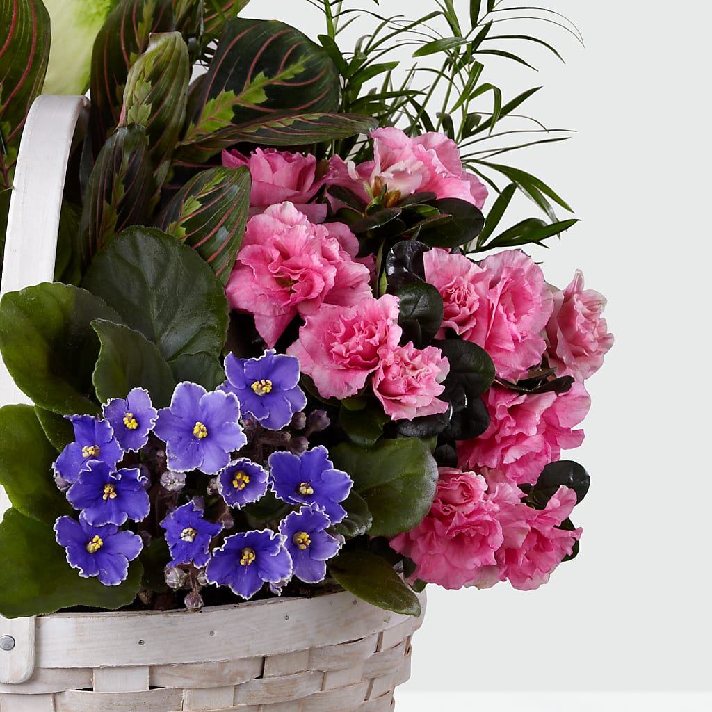 Peaceful Garden Planter –  Gladrich Florist Shoppe, Punta Gorda FL