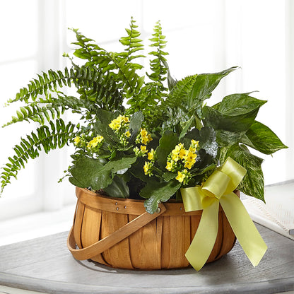 Always Dear Dishgarden –  Gladrich Florist Shoppe, Punta Gorda FL