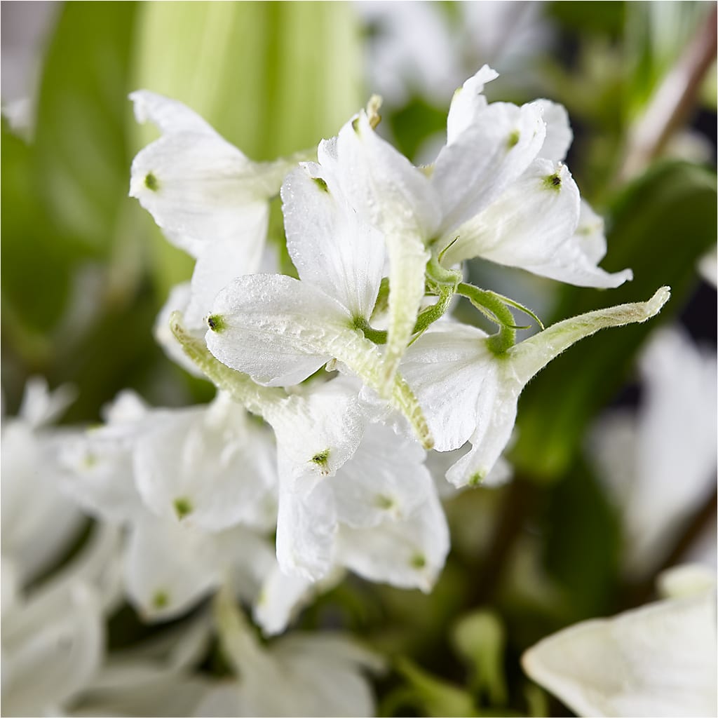 Classic Ivory – A Florist Original –  Gladrich Florist Shoppe, Punta Gorda FL