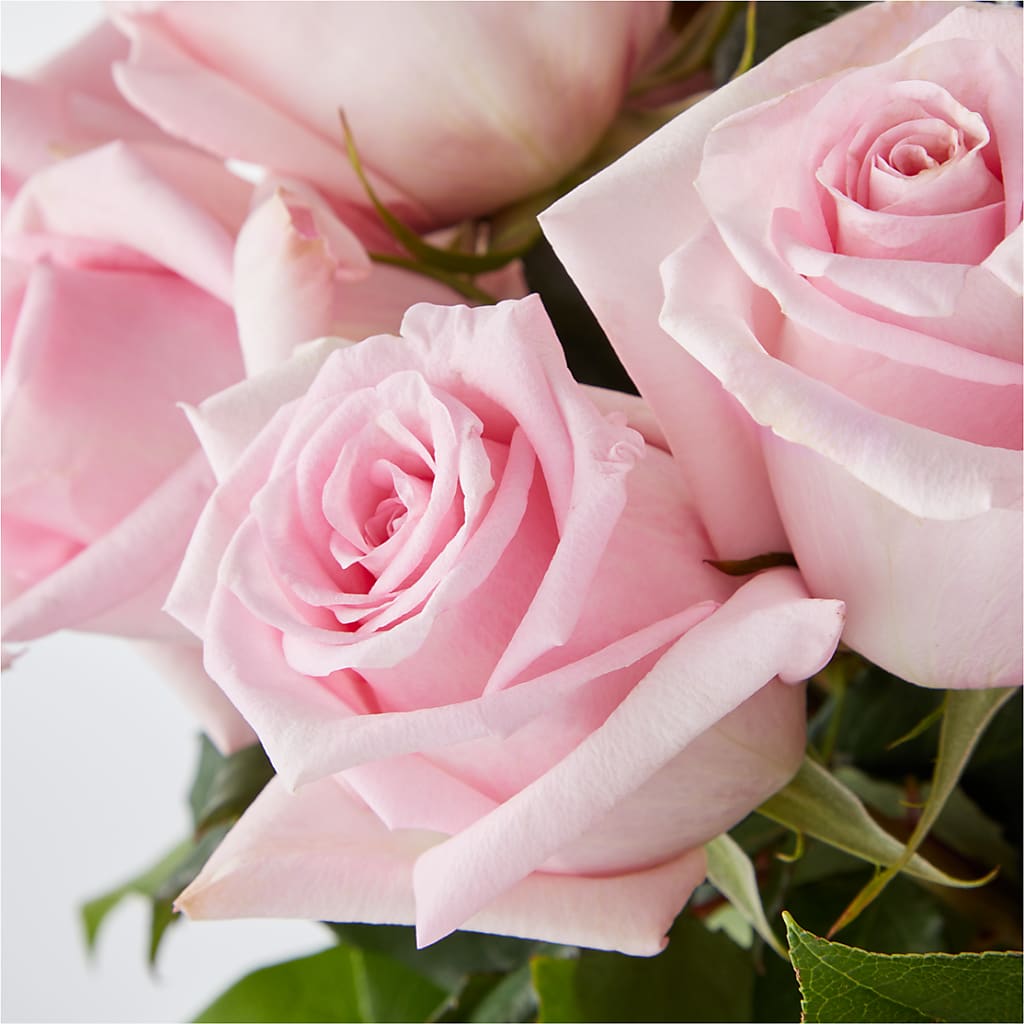 Picture Perfect Pink Rose Bouquet –  Gladrich Florist Shoppe, Punta Gorda FL