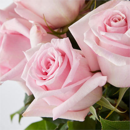 Picture Perfect Pink Rose Bouquet –  Gladrich Florist Shoppe, Punta Gorda FL