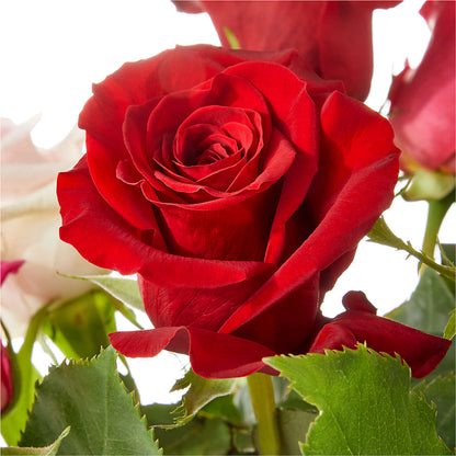 Love Notes Rose Bouquet –  Gladrich Florist Shoppe, Punta Gorda FL