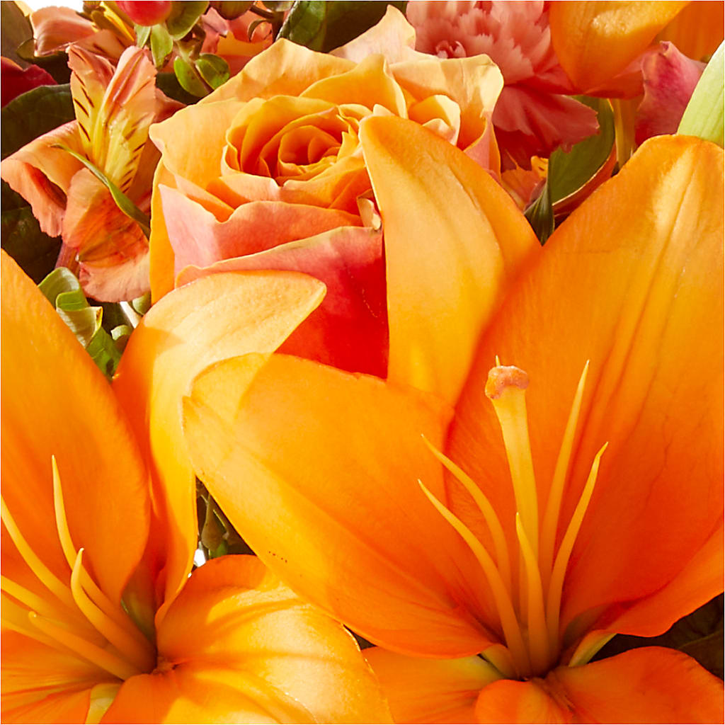 Afternoon Light Bouquet –  Gladrich Florist Shoppe, Punta Gorda FL