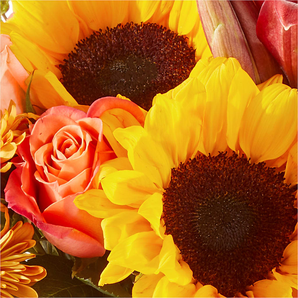 Acorn Lane Bouquet –  Gladrich Florist Shoppe, Punta Gorda FL