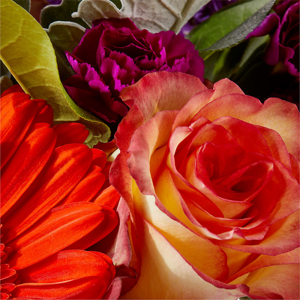 Sangria Bouquet –  Gladrich Florist Shoppe, Punta Gorda FL