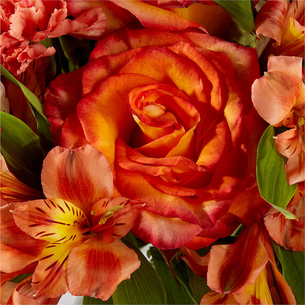 Apricot Glow Bouquet –  Gladrich Florist Shoppe, Punta Gorda FL