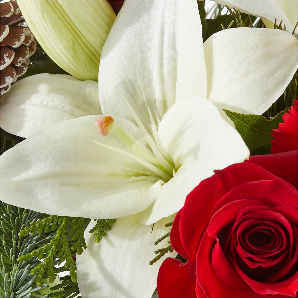 Oh So Jolly Bouquet –  Gladrich Florist Shoppe, Punta Gorda FL