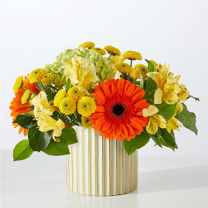 Autumn Sunshine Bouquet with Ivory Vase –  Gladrich Florist Shoppe, Punta Gorda FL