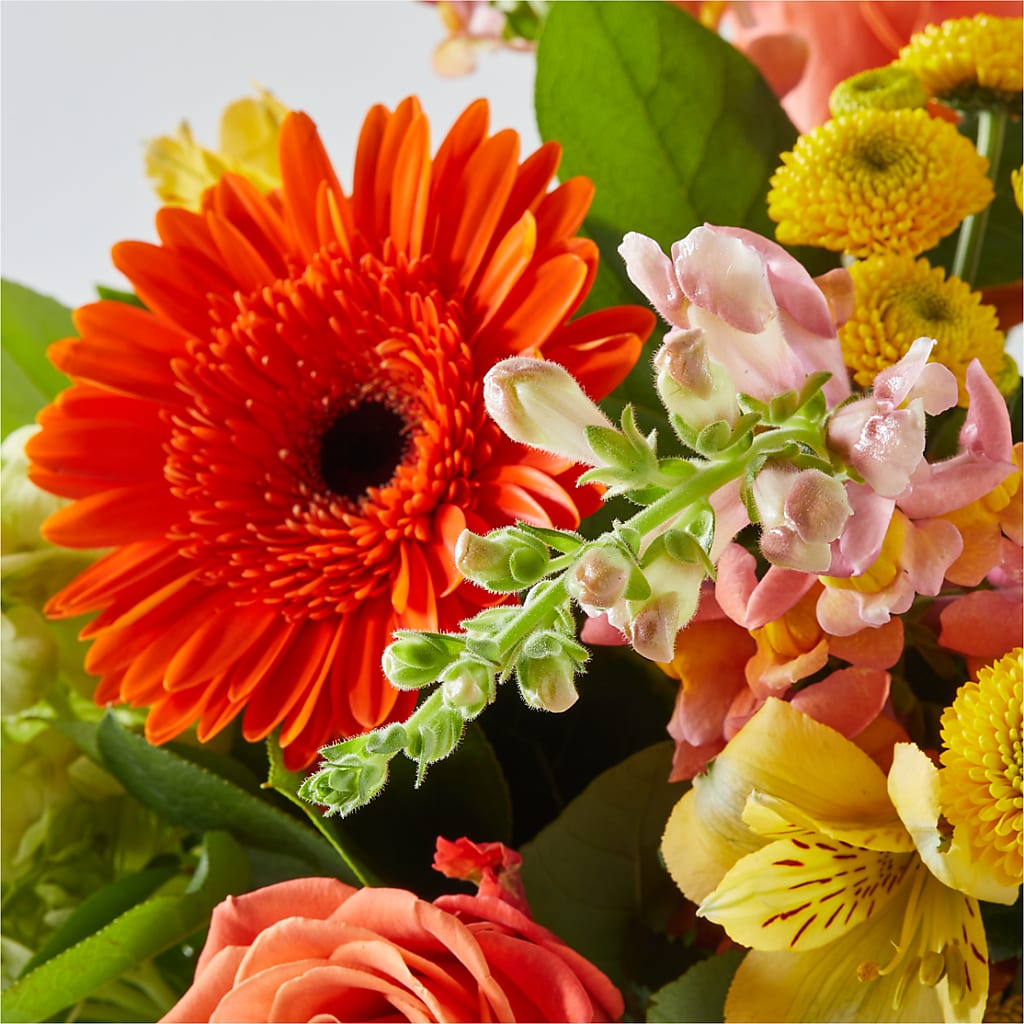 Autumn Sunshine Bouquet –  Gladrich Florist Shoppe, Punta Gorda FL