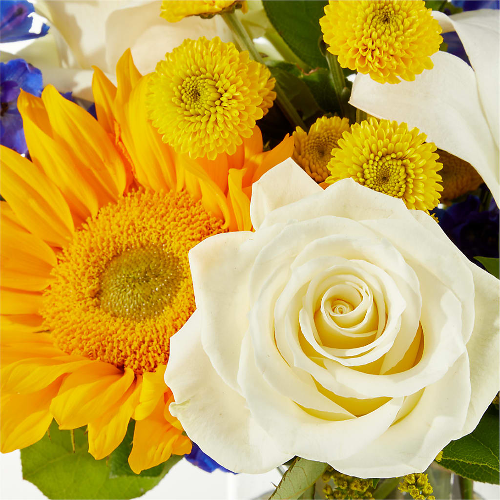Stargazing Bouquet –  Gladrich Florist Shoppe, Punta Gorda FL