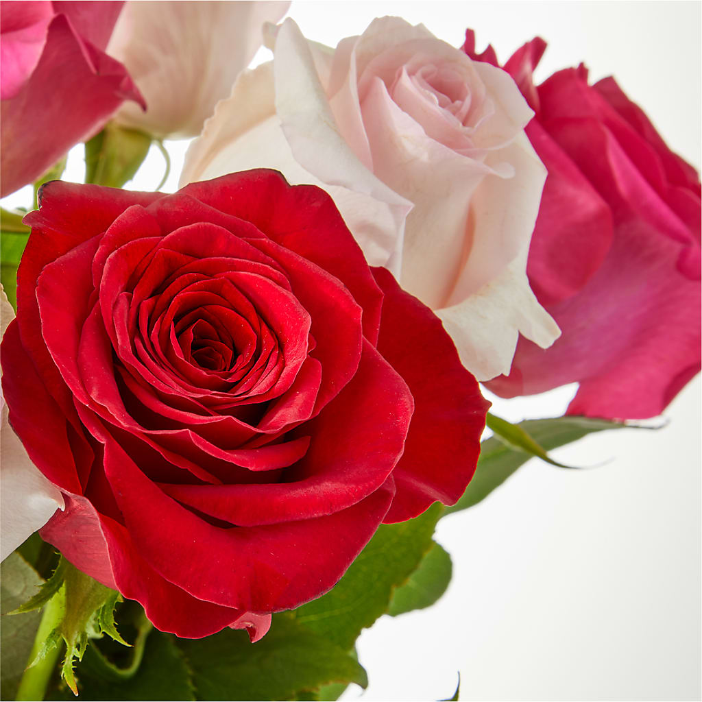 Charming Rose Bouquet –  Gladrich Florist Shoppe, Punta Gorda FL