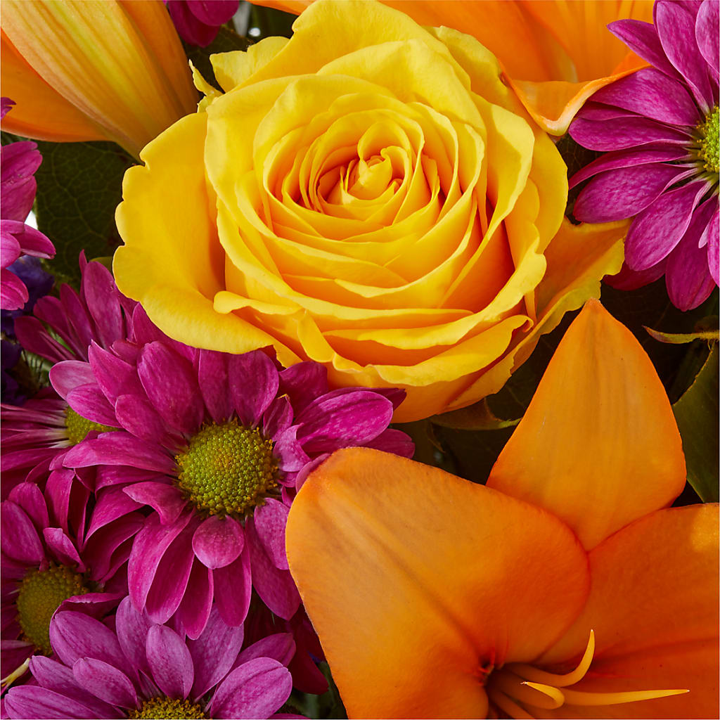 Colorful Visions Bouquet –  Gladrich Florist Shoppe, Punta Gorda FL