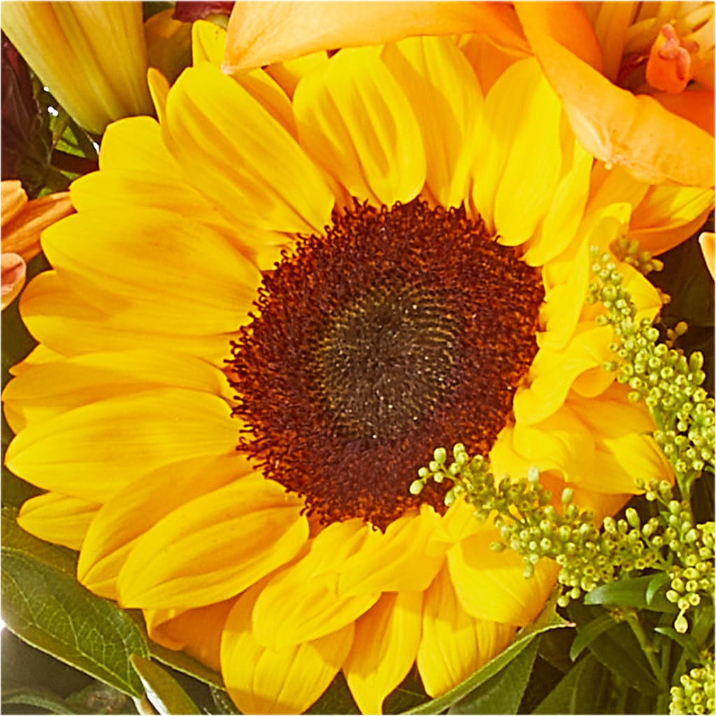 Seasons Change Bouquet –  Gladrich Florist Shoppe, Punta Gorda FL