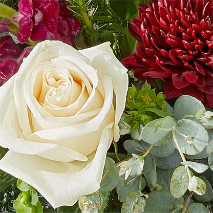 Cranberry Fizz Bouquet –  Gladrich Florist Shoppe, Punta Gorda FL
