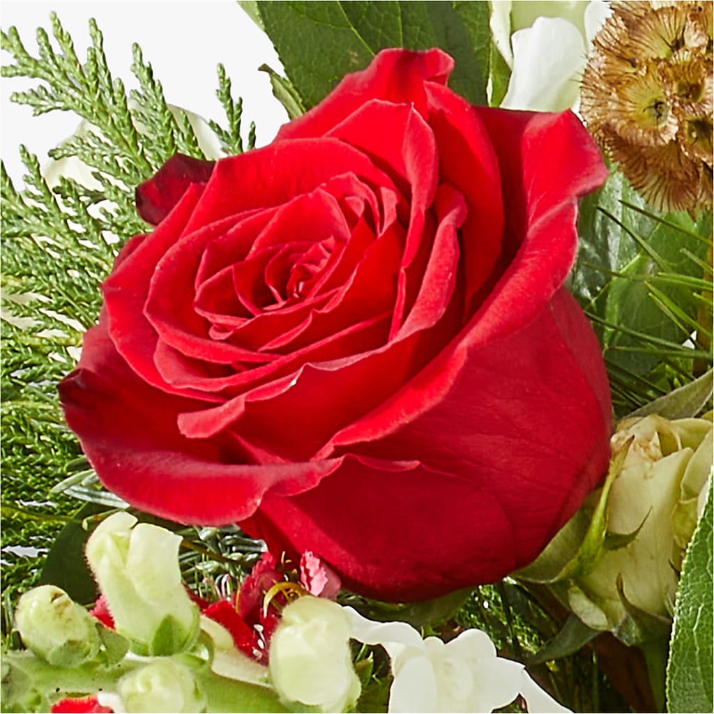 Deck the Halls Bouquet –  Gladrich Florist Shoppe, Punta Gorda FL
