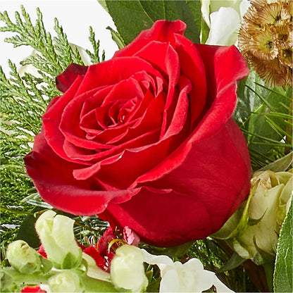Deck the Halls Bouquet –  Gladrich Florist Shoppe, Punta Gorda FL