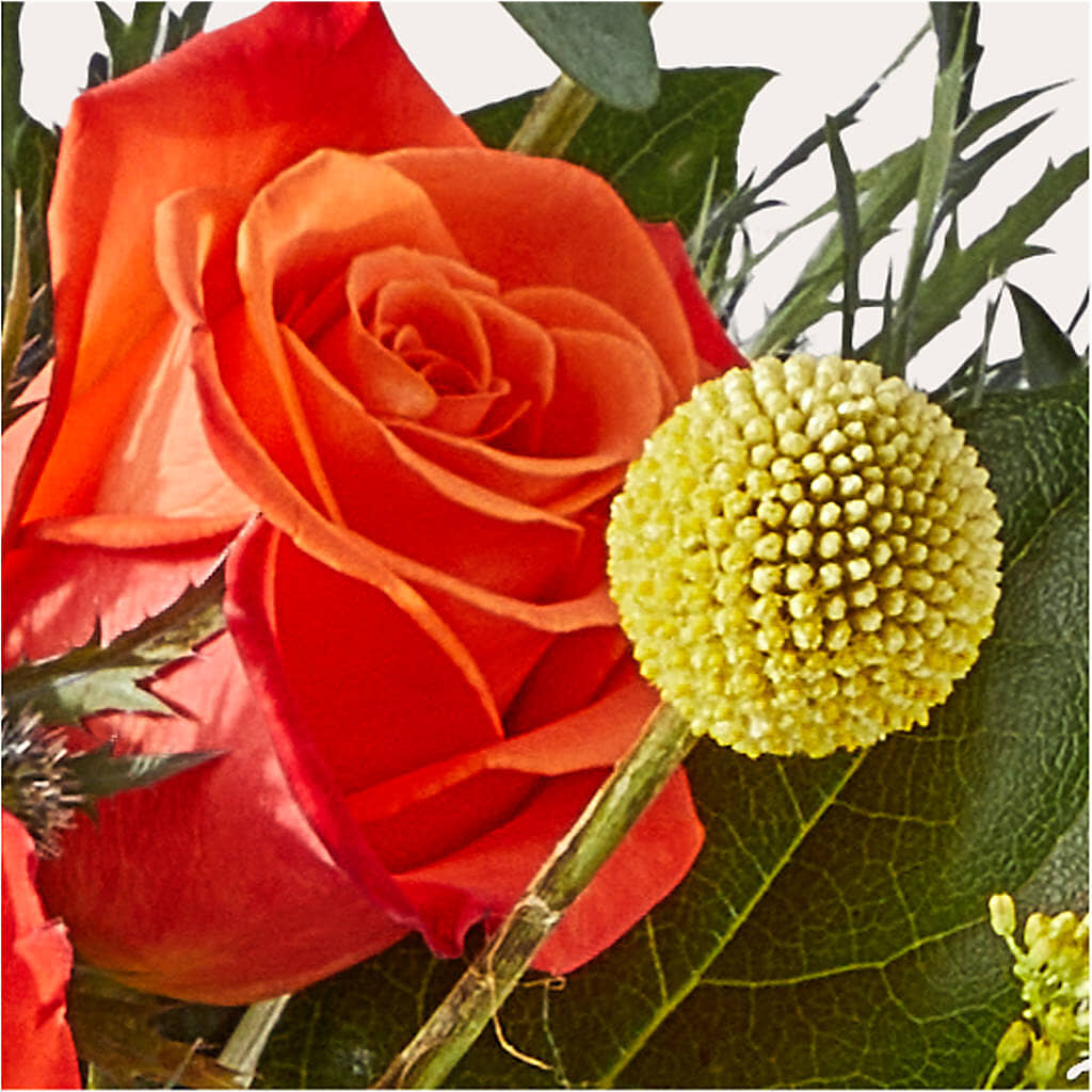 Disco Bouquet –  Gladrich Florist Shoppe, Punta Gorda FL